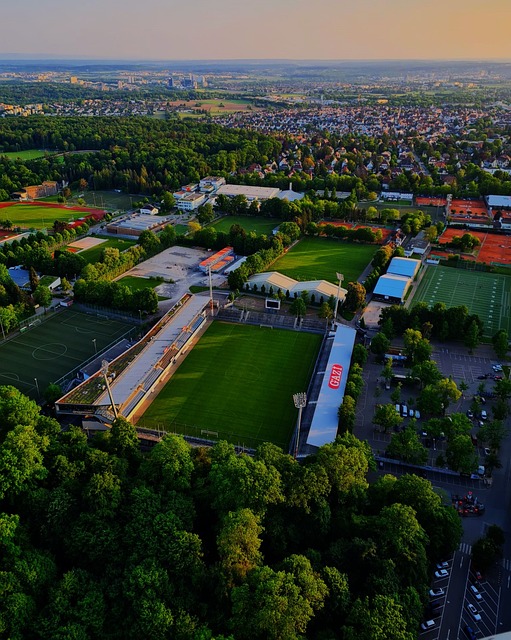 机构面临的 机构面临的