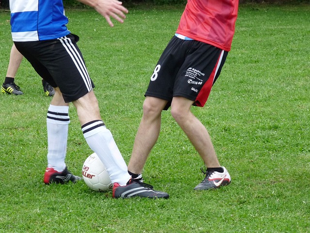 可以总结为 可以总结为