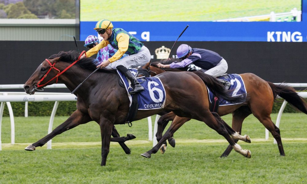 赛中常常因 赛中常常因